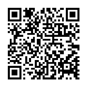 早就比那些空有一身武功不懂的运用的年轻人还要强上几分二维码生成