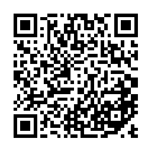 早就蓄谋已久的周老夫人和吴三奶奶肯定也会出别的妖蛾子二维码生成