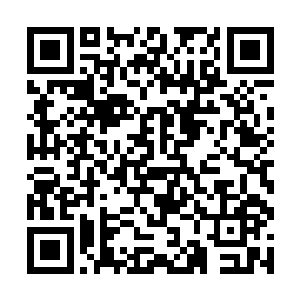 早就见识过林若溪那跟表面完全不符的缜密复杂心思二维码生成