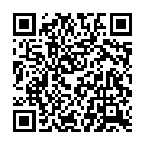 早已习惯了前段时间情趣节奏的小丫头对此大为不满意二维码生成