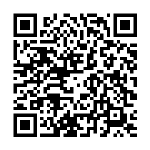 早已在漫长的绝望和孤独中几乎已经忘记活着的感觉了二维码生成