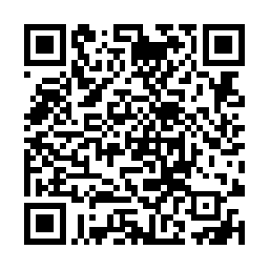 早已废了的衣服犹豫一下却是被他收进了游戏包裹里二维码生成