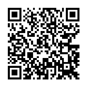 早已知晓冰封并不能一次性针对所有黑暗星的血妖姬和众宠二维码生成