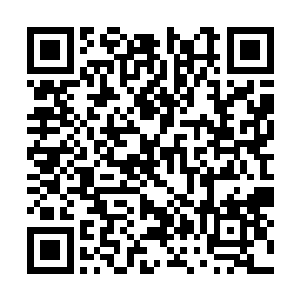 早已经在留意着她的紫千幻抢先一步来到她的面前二维码生成