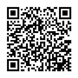 早已经忘却了的记忆最先回忆的却是无边海下的海底洞府二维码生成