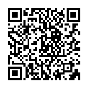 早已经接到通知的医护人员快速的将一个推车推到了林王妃面前二维码生成