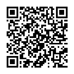 早帮她解决暗疾也不至于每次都要收集万族的血液了二维码生成
