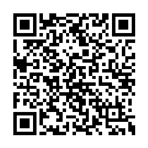 早把你们这帮弱小的家伙全都叉成肉串烤来吃了二维码生成