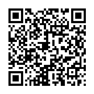 早早到达的我也开始对聚仙盆做了一些必要的伪装二维码生成