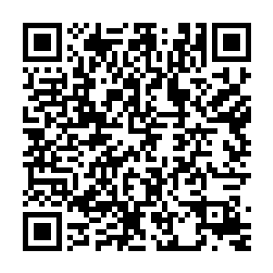 早早就在里头准备好了的司空展立刻就噗通一声跪在了马允辉的跟前二维码生成