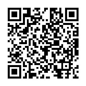 早早的就张罗起这一日玉州以及济安郡的集体庆祝活动二维码生成