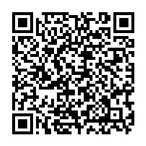 早知道我们就单独设立电视制作公司了――谁知道这一步居然跨得这么顺利二维码生成