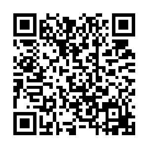 早知道李峰身边居然带着一个这么强大的仆人的话二维码生成