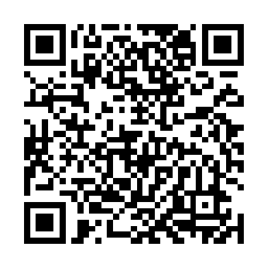 早知道这些家伙可以感知到灵魂力量我就不这么出手了二维码生成