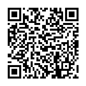 早知道这样她无论如何都要问那个婢女离开这里的方法二维码生成