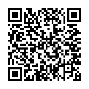 早餐还是苏元强行的把王长林从书房里面给拉了出来二维码生成