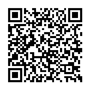 旭儿说明珠虽然也因为是长公主的原因顺利了些二维码生成