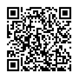 旱魃等4位铜棺宿主动手清理大帝级别的尸体傀儡了二维码生成