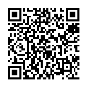 时不时会有一些人通过专用通道进入天空拍卖场二维码生成