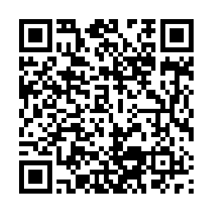 时不时的跳起来检验一下桥梁上的绳子以及脚下的木板二维码生成