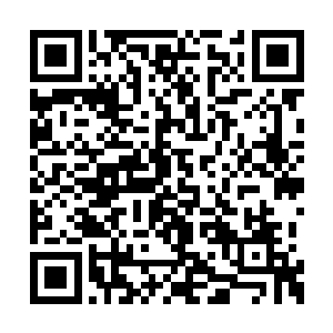 时不时看向正低着头坐在一起说着悄悄话的糯糯二维码生成