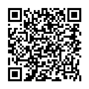 时不时能见到各种一线二线三线美女明星的身影二维码生成