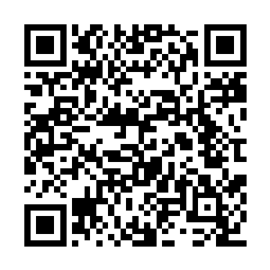 时刻都有一百名修为高强的守卫负责灵宫的安全二维码生成