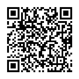 时日无多的老者和疾病缠身的弱者不可能作为优先选项二维码生成