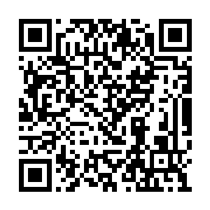 时晴天立刻的朝着杨风声音所在的方向发动攻击二维码生成