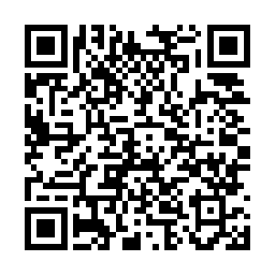时科特那叛逆而倔强的眼神就在雨果的脑海里回放二维码生成