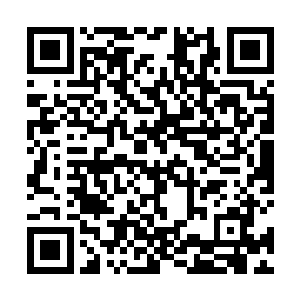 时至今日阮荷黎在他生日许诺他的生日愿望仍言犹在耳二维码生成