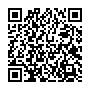 时间之主的四项能力中……俨然已有两项被枉叹之给破解了……二维码生成