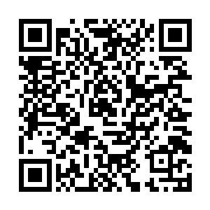 时间差不多了……董事长今晚还约了我去酒店吃饭呢二维码生成