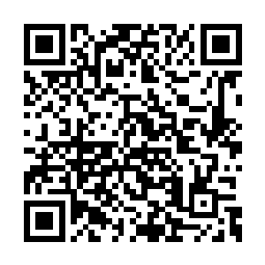 时间都浪费在了他给众人留出来的思考时间之中二维码生成