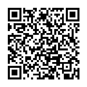 昆仑派的两个人见到龙傲天如此诡异的杀人手段之后二维码生成