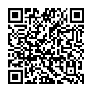 昆哥欢叫伸出小手来将软软的糖拿起来送进沈四太太嘴里二维码生成