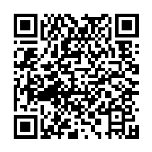 昆湖长期以来就采取的是放水养鱼广泛撒网的模式二维码生成