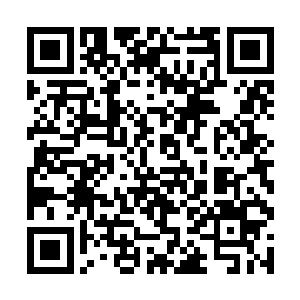 昊天域界附近的修士们全都趴在了星空中或者地面上二维码生成