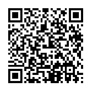 昌州电视台不是每天也在模仿新闻联播搞气象预报么二维码生成