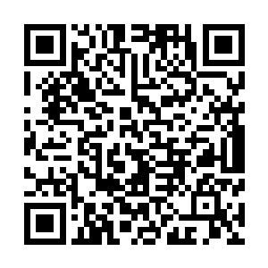 昌江竟成律师事务所是昌州市颇有名气的合伙制律师事务所二维码生成