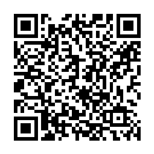 明亮的灯火一瞬间让她感觉到和外面完全不同的温暖和安定二维码生成