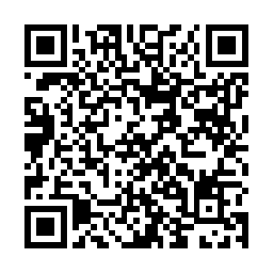 明古脑海中掠过了一个疯狂的念头――变身之后杀了他二维码生成