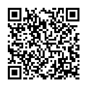 明天会逐步在微信上发画师给焚天之怒主要角色的人物画二维码生成