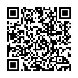 明天你可以试着直接把松散的土壤聚集到墙基坑当中二维码生成