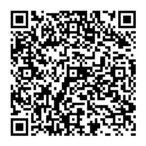明天四更求粉红票我就是要证明我们的极品军团是最强大的我就是要拿回原本属于我们极品军团的东西二维码生成
