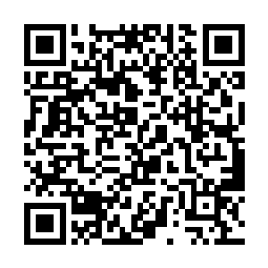 明天岂不是又有一大波小学妹两眼桃花的来向你表白二维码生成