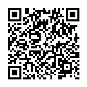 明天我亲自去定王府拜访一下定王和徐家大公子二维码生成