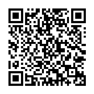 明天我们就要去参加青州飞龙谷的九州修仙门派交流大会了二维码生成