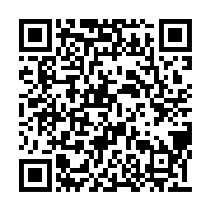 明天我是不是可以因为别人投资比你大而偏帮他二维码生成