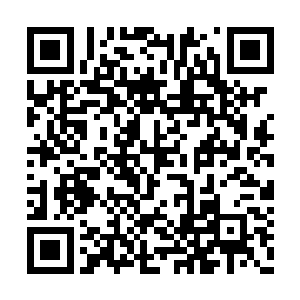 明天拿着这个合约去联合自治区政务委员会告状二维码生成